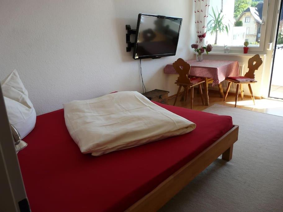 Kleine Feine Wohnung In Toplage Bludenz Esterno foto